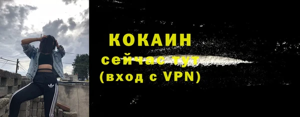 МДПВ Армянск