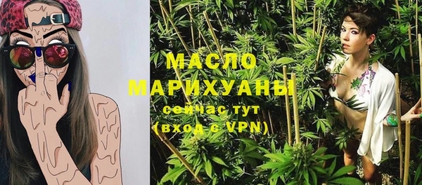 мдпв Инсар