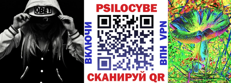 Псилоцибиновые грибы Psilocybine cubensis Ахтубинск