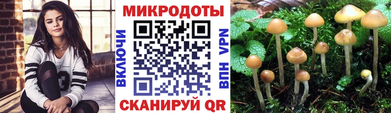 где найти наркотики  Ахтубинск  Псилоцибиновые грибы мицелий 